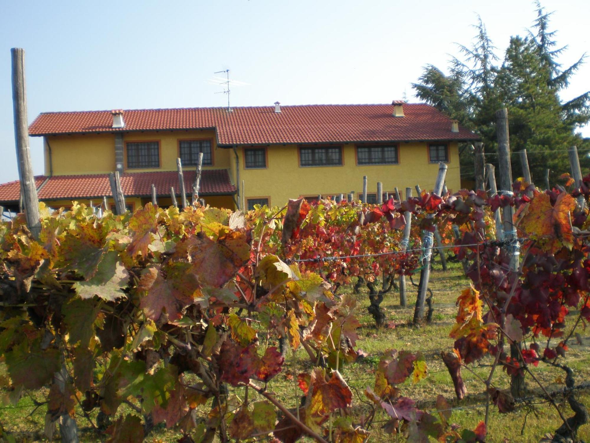 Willa Cascina La Maddalena Bed & Wine Rocca Grimalda Zewnętrze zdjęcie