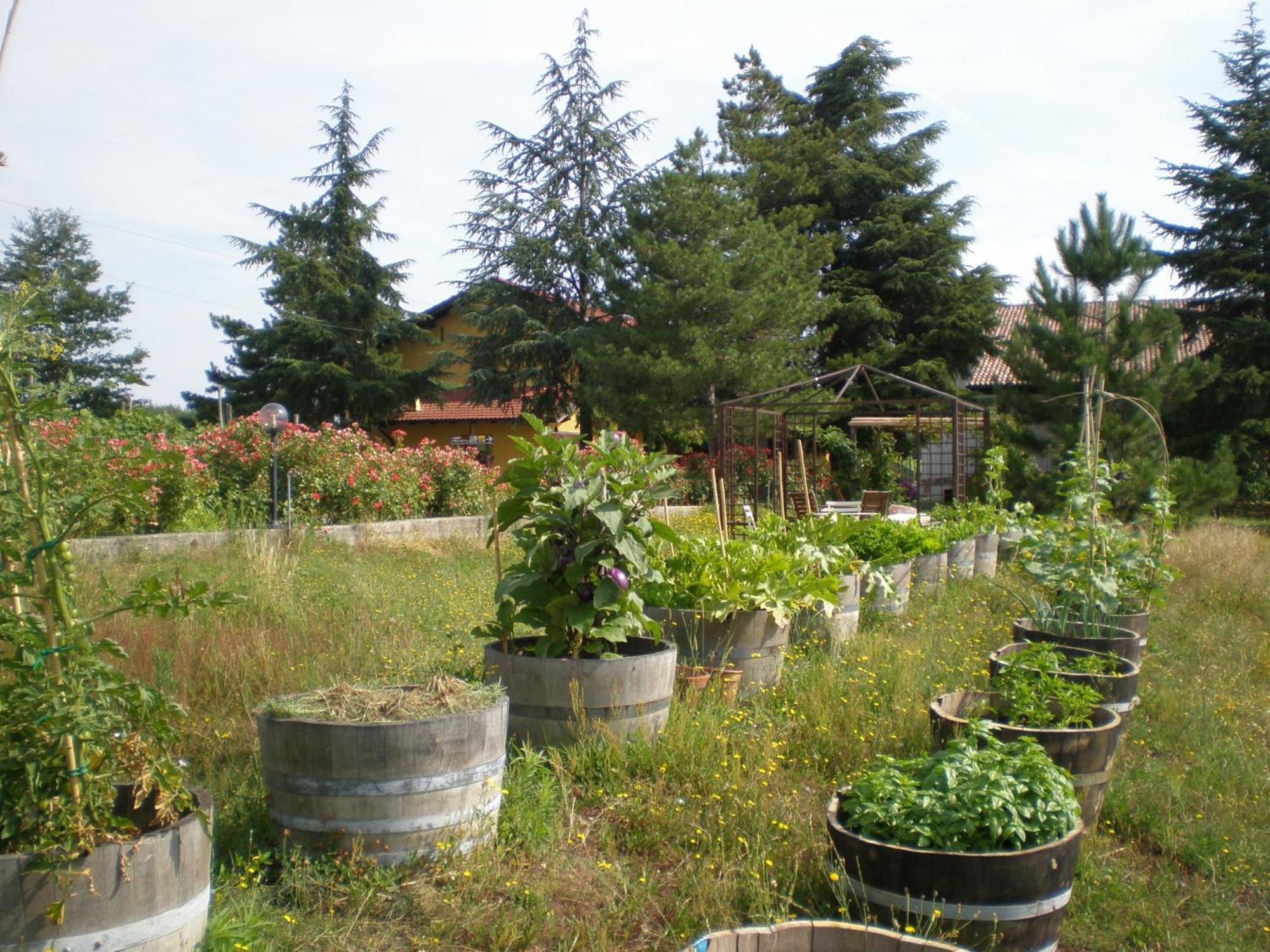 Willa Cascina La Maddalena Bed & Wine Rocca Grimalda Zewnętrze zdjęcie