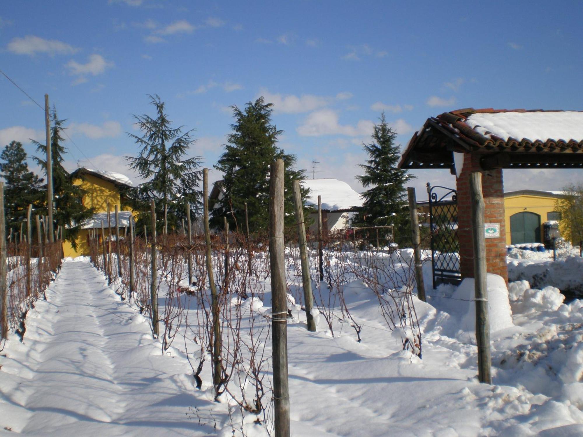 Willa Cascina La Maddalena Bed & Wine Rocca Grimalda Zewnętrze zdjęcie